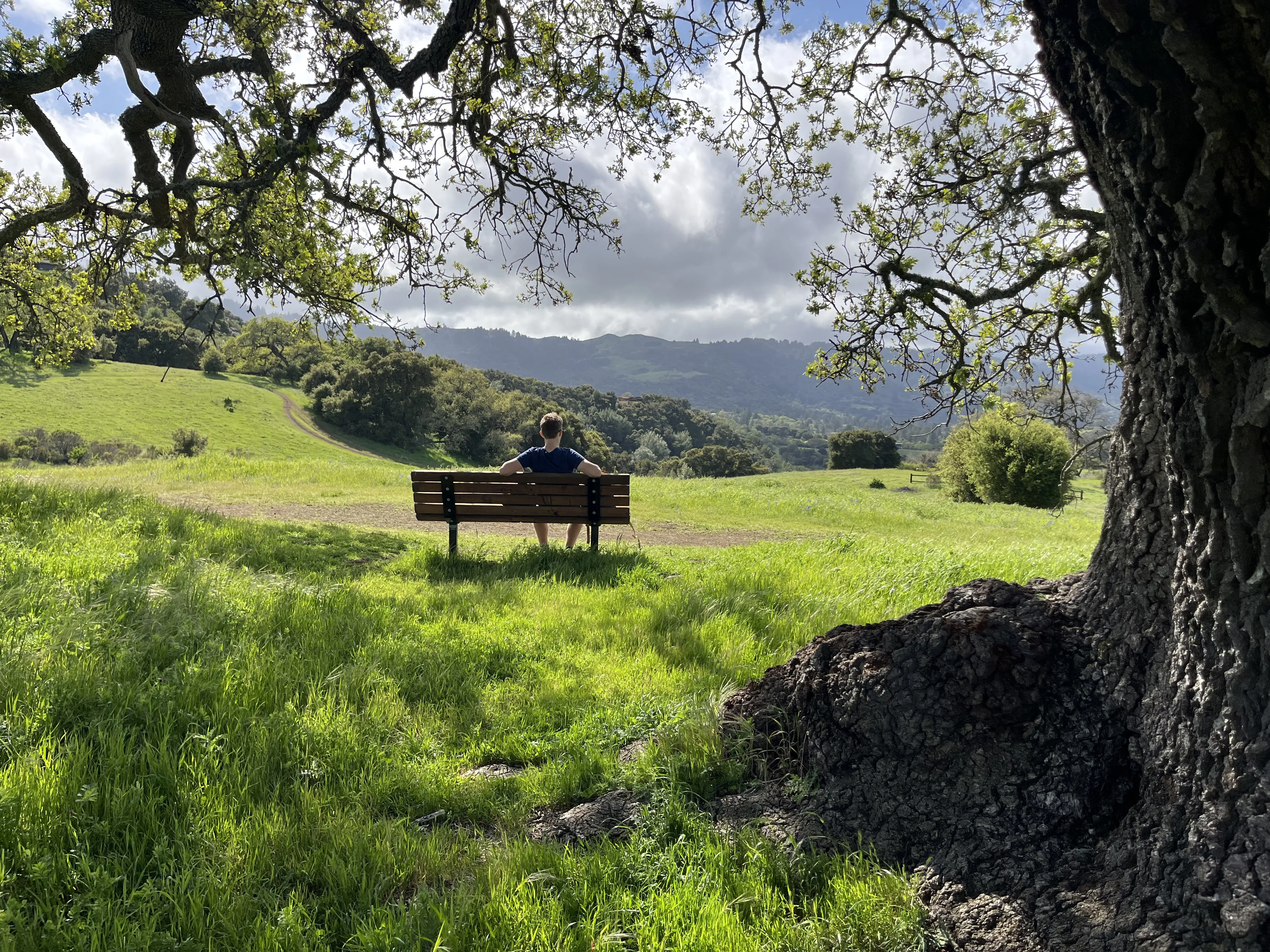 Arastradero bench